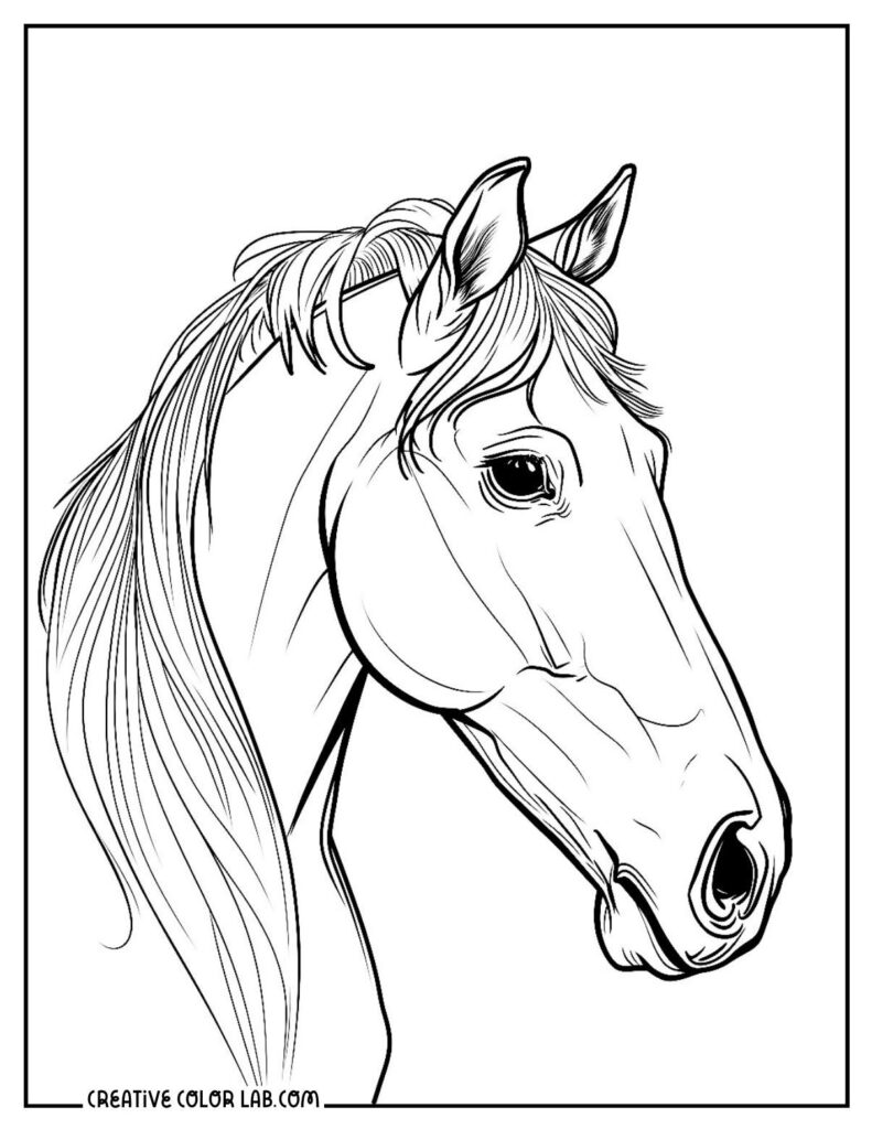 Black and white horse head line drawing