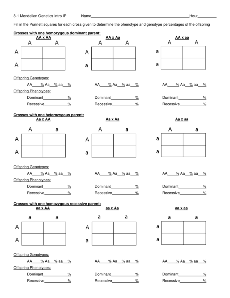 Mendelian genetics worksheet with blank Punnett squares and percentages