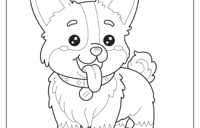 Cartoon corgi standing on an oval mat
