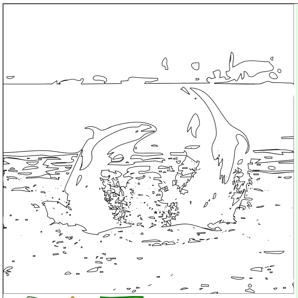 Two dolphins leaping above the ocean surface