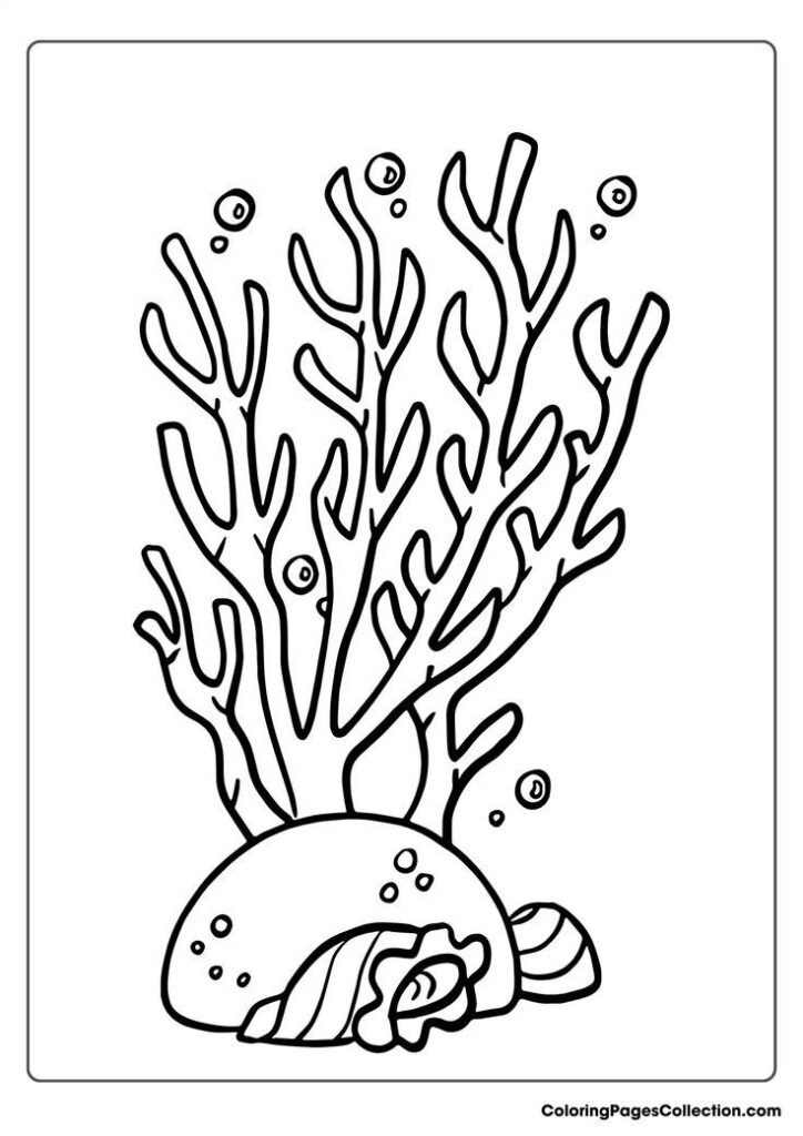 Black line drawing of coral over seashells