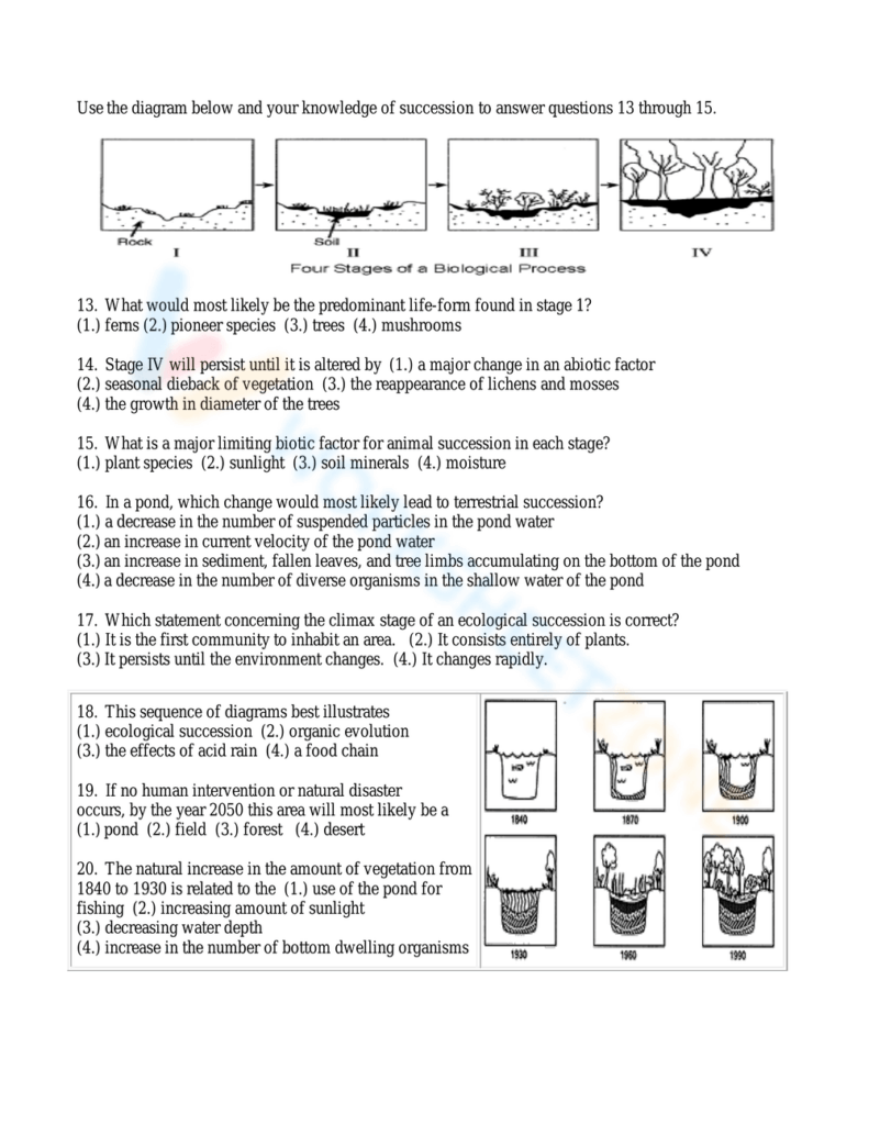 Ecological succession worksheet with pond and forest diagrams