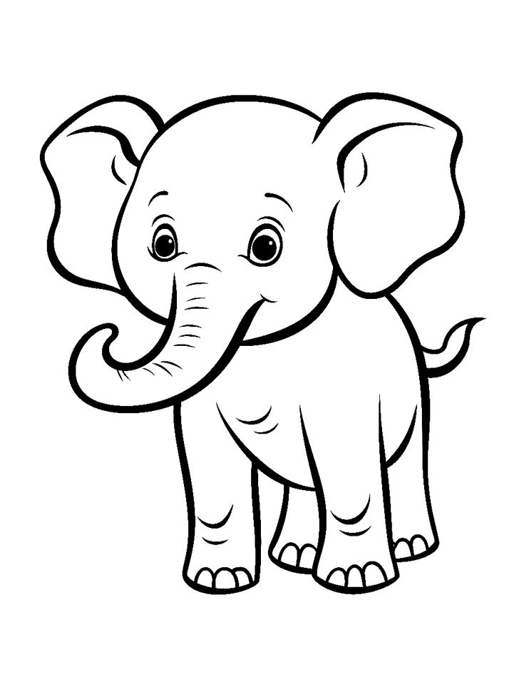 Cartoon baby elephant line drawing on white background