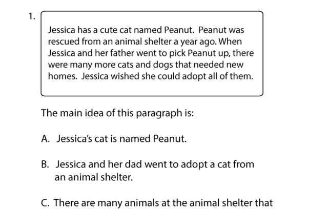 Main idea worksheet with cat illustration and text