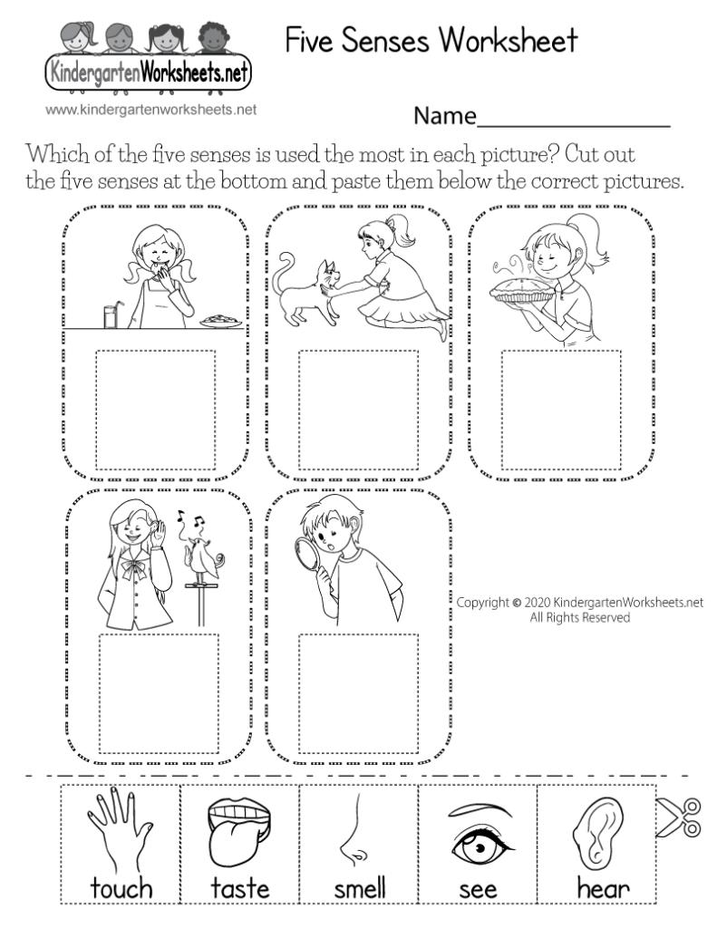 Five senses kindergarten worksheet with picture cutouts