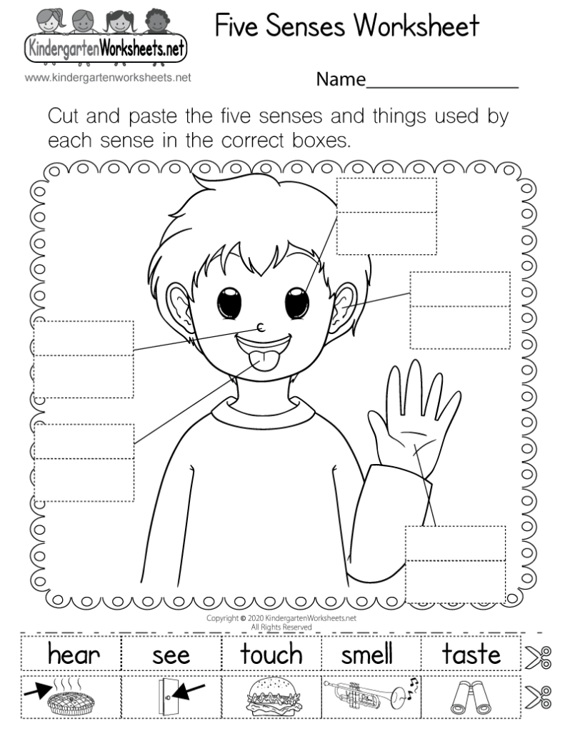 Five senses worksheet with child and cutout boxes