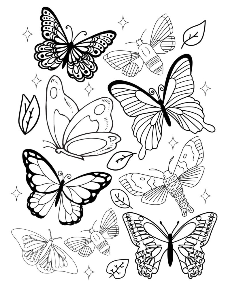 Black-and-white butterfly coloring page with leaves and stars