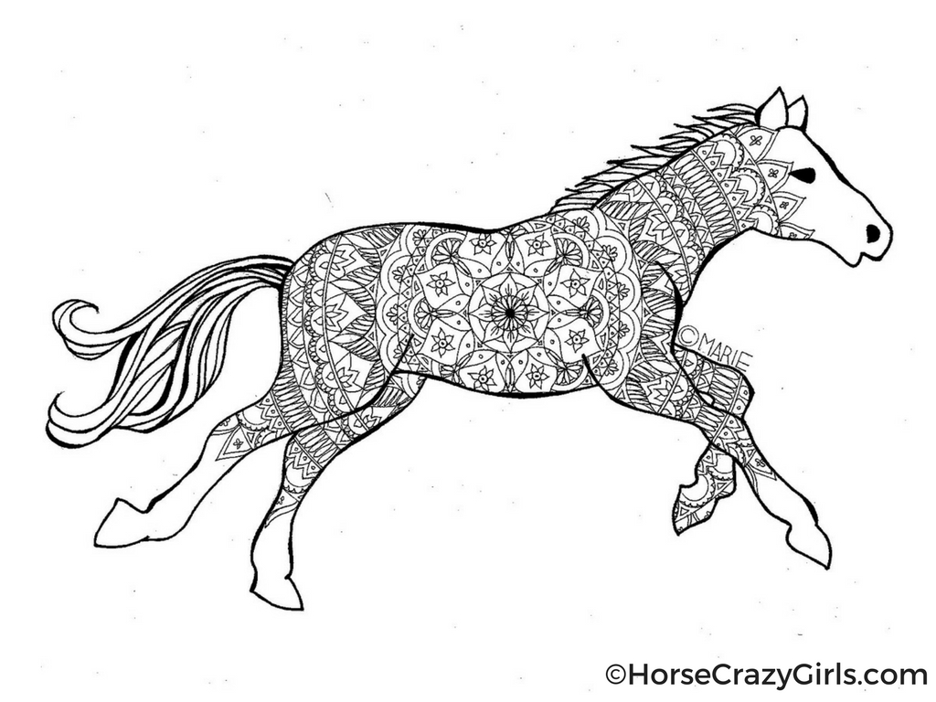 Decorative line drawing of a running horse