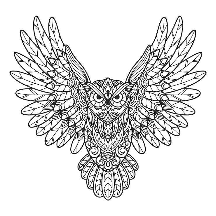 Intricate symmetrical owl with outstretched wings line art