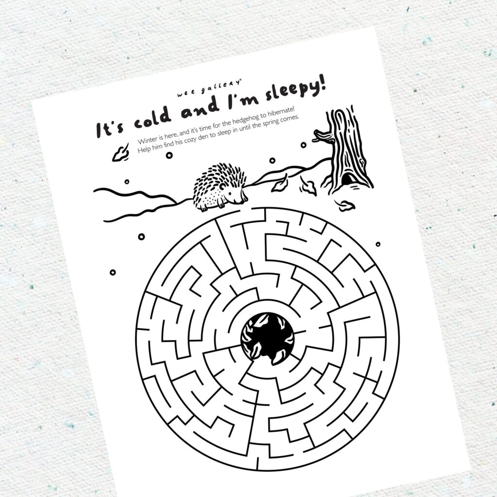Hedgehog maze worksheet on a textured white surface