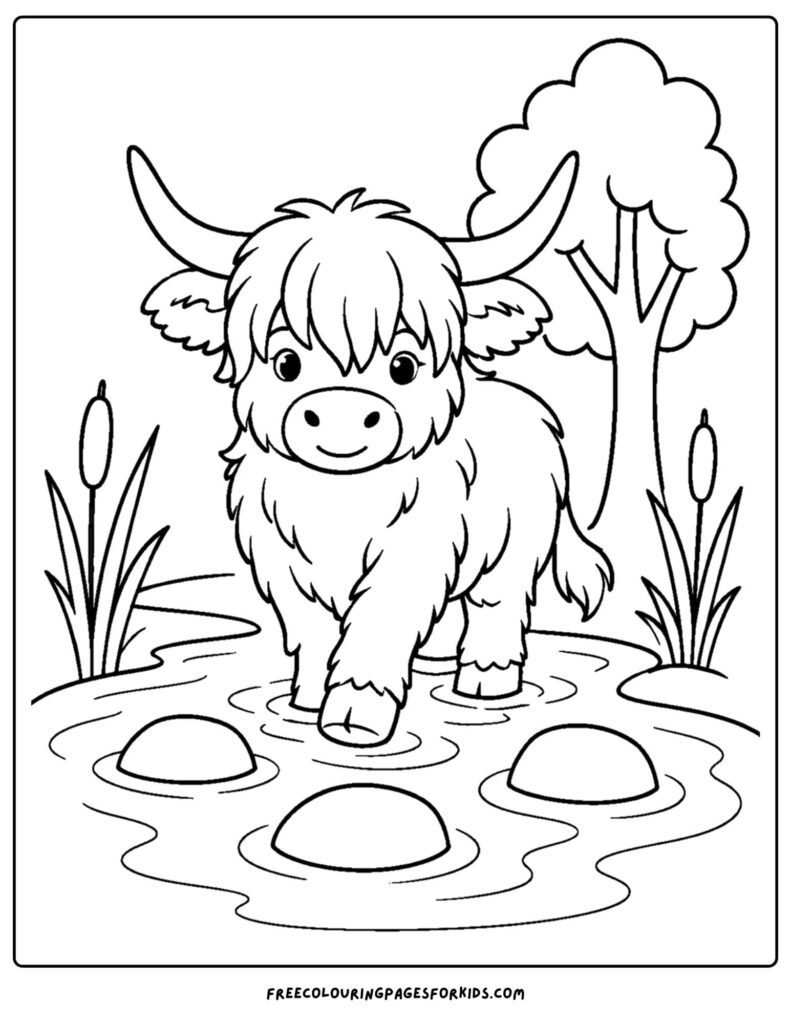 Shaggy yak standing in a pond surrounded by reeds and stones.