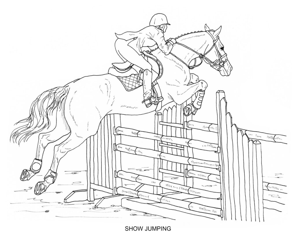 Line drawing of rider jumping horse over fence