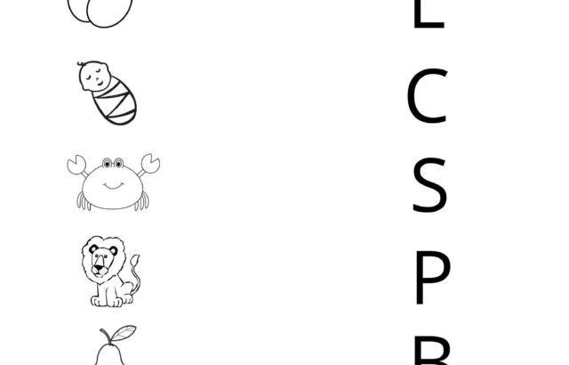 Phonics worksheet with pictures and matching letters
