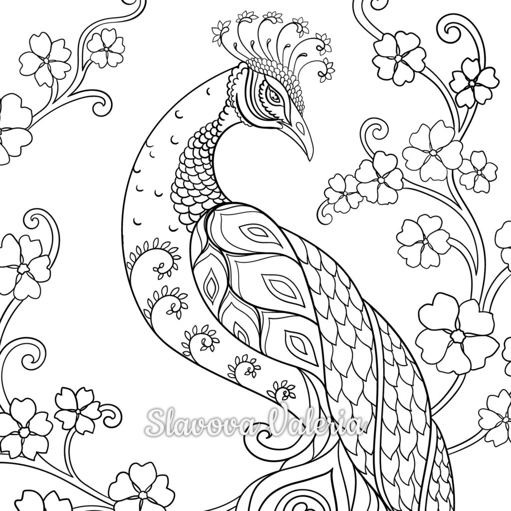 Black-and-white peacock surrounded by floral vines, coloring page