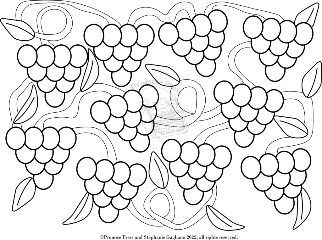 Black-and-white grape clusters with leaves, coloring page style