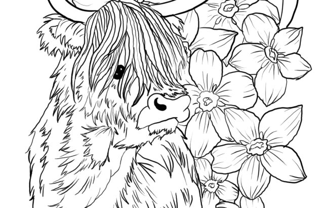Line drawing of shaggy horned cow surrounded by flowers