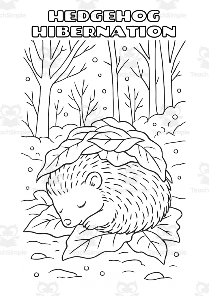 Sleeping hedgehog on leaves in snowy forest