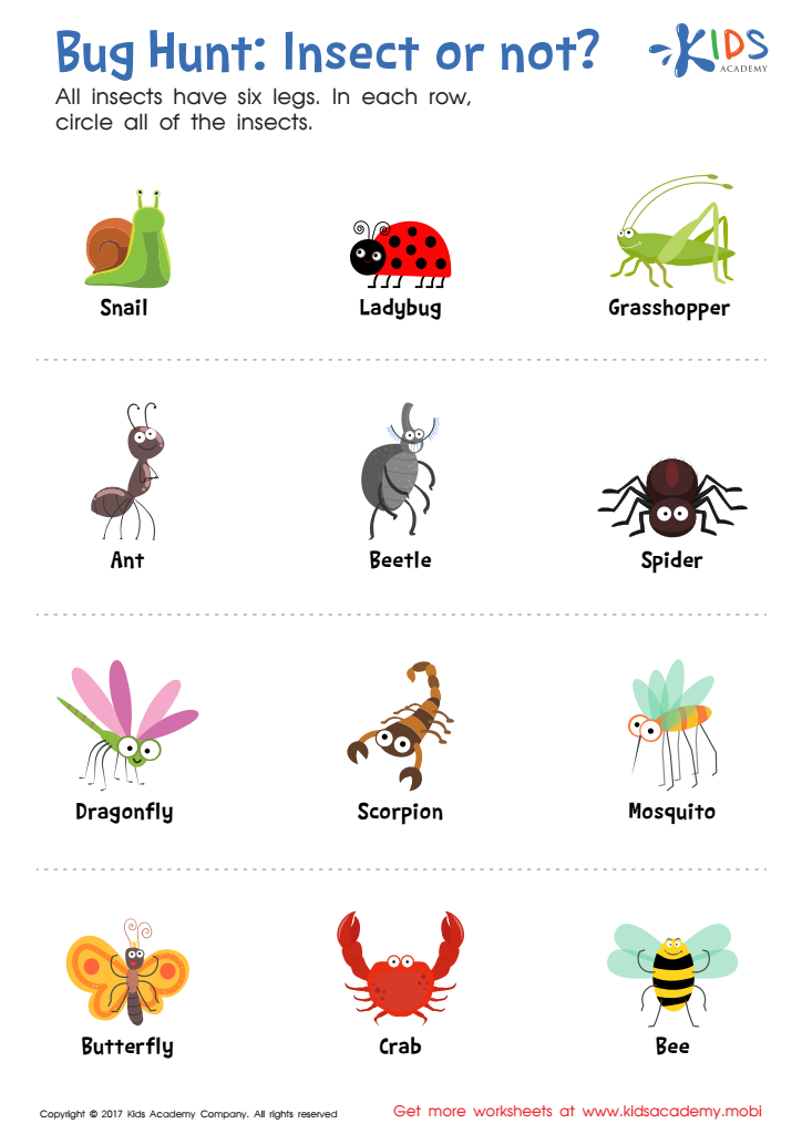 Insect worksheet with labeled cartoon animals in rows
