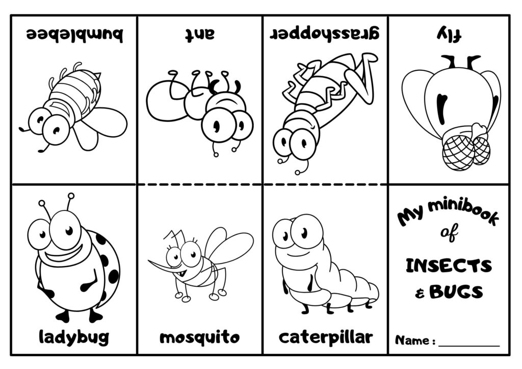 Insects coloring page with eight cartoon bugs and labels
