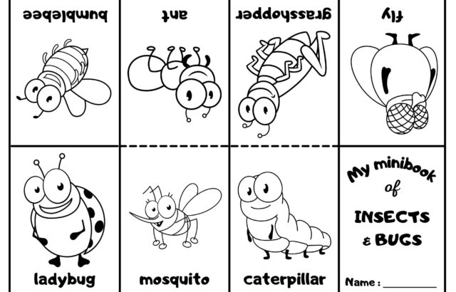 Insects coloring page with eight cartoon bugs and labels