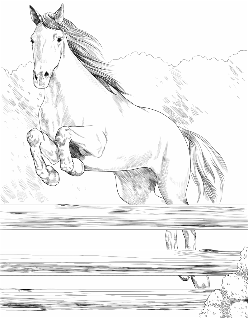 Horse jumping over wooden fence in black-and-white drawing