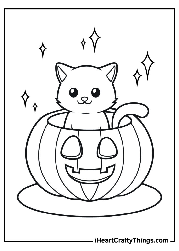 Cute cat sitting in a jack-o'-lantern pumpkin