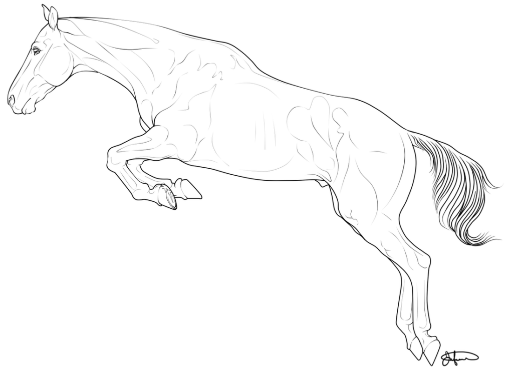 Line drawing of a horse leaping leftward on white background