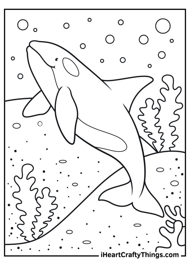 Cartoon shark swimming underwater with bubbles and seaweed