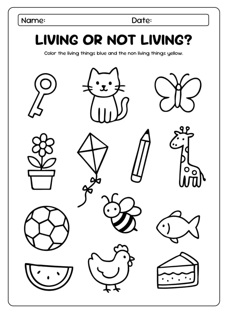 Living or not living worksheet with simple drawings