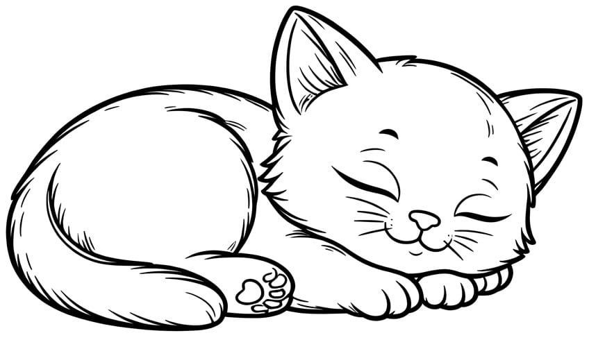 Sleeping kitten outlined in black on white background