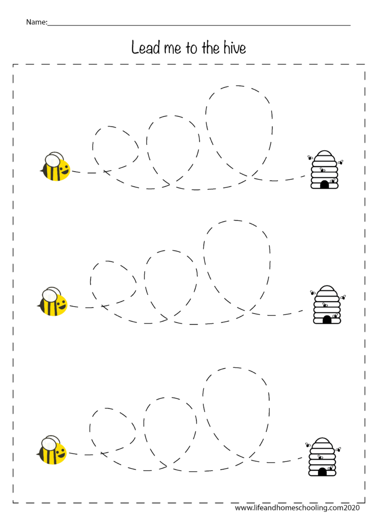 Bee path tracing worksheet with three bees and hives