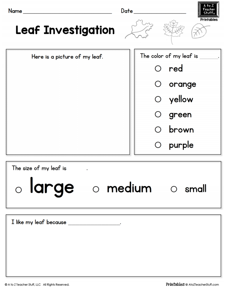 Leaf investigation worksheet with blanks and choices
