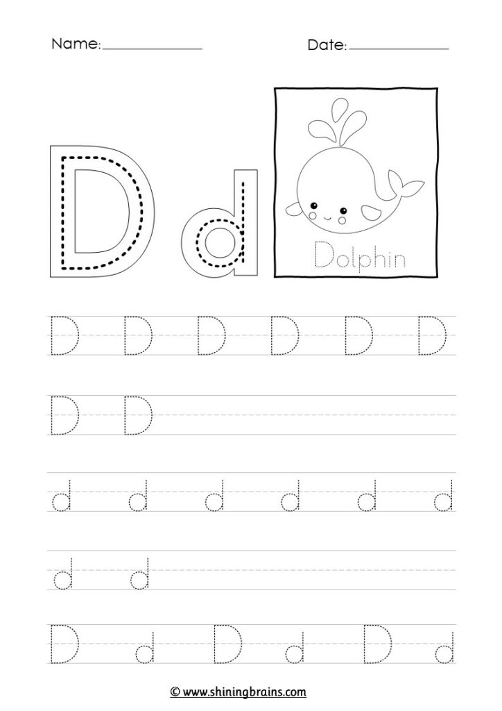 Alphabet tracing worksheet for D and d, with dolphin picture