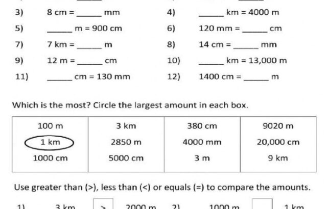 Metric units conversion worksheet with problems and comparison boxes