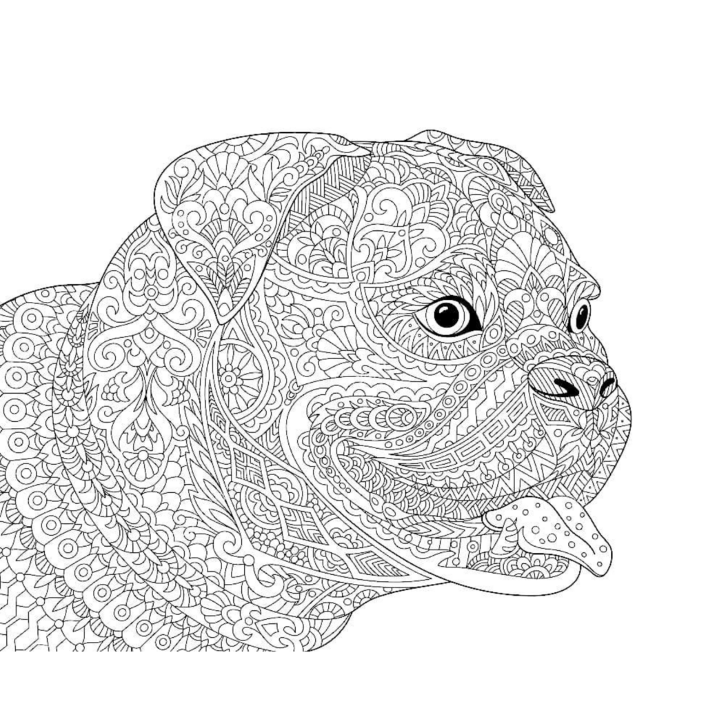Intricate line art of a dog’s face