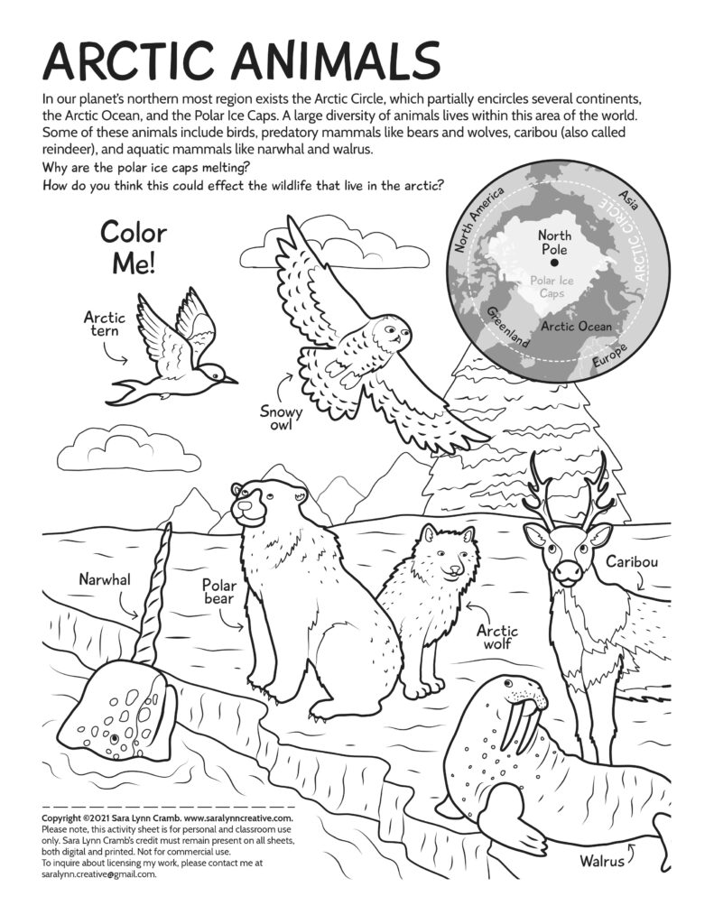 Arctic animals coloring page with labeled wildlife drawings and map