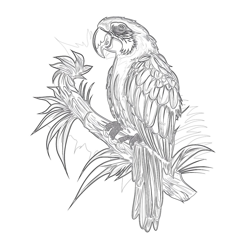 Line drawing of a parrot on a branch