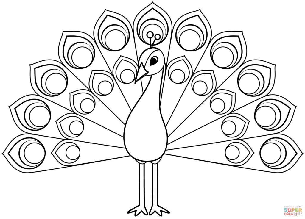Black-and-white peacock coloring page with spread tail feathers