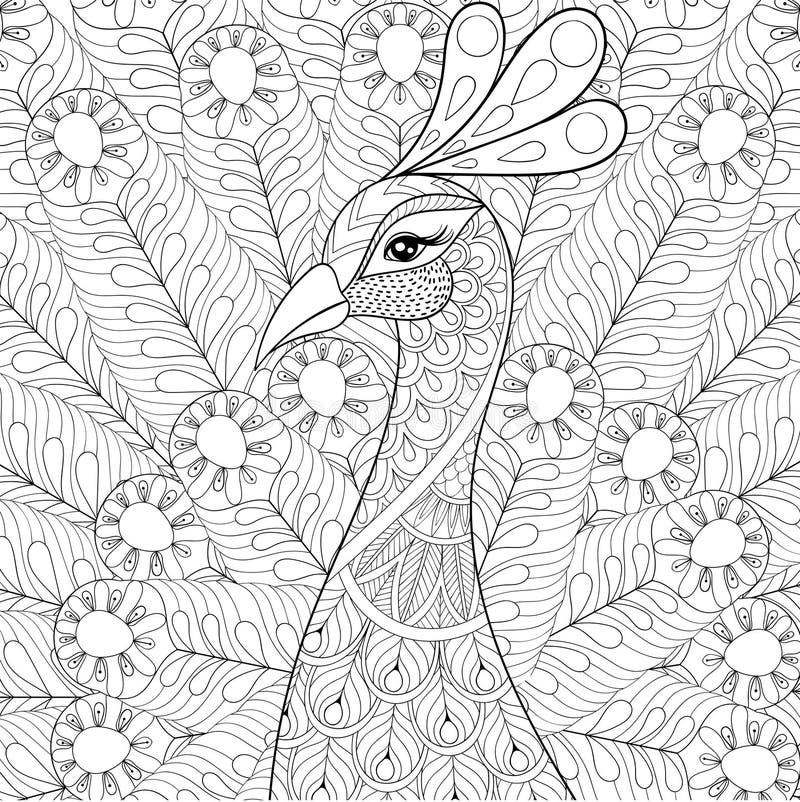 Black-and-white peacock coloring page with ornate feathers