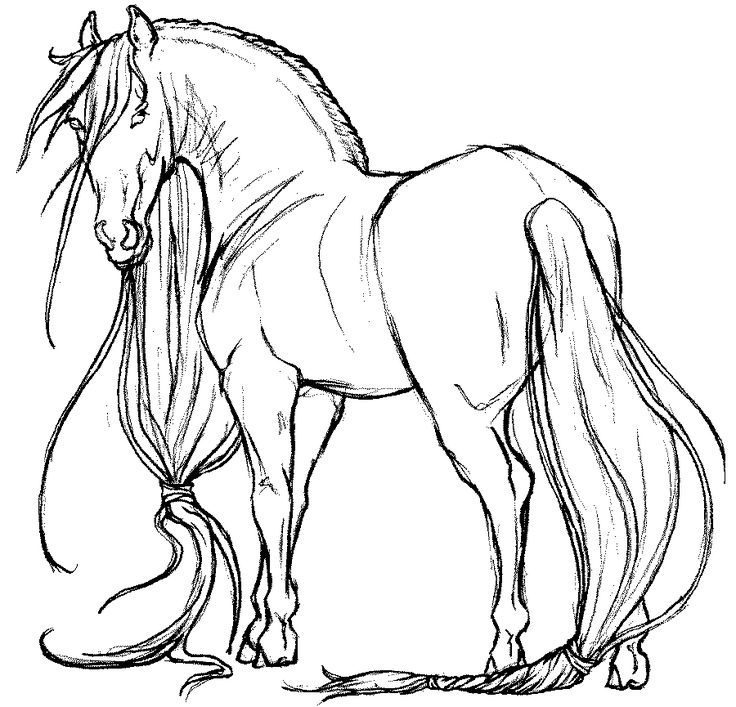 Black and white sketch of a horse standing sideways