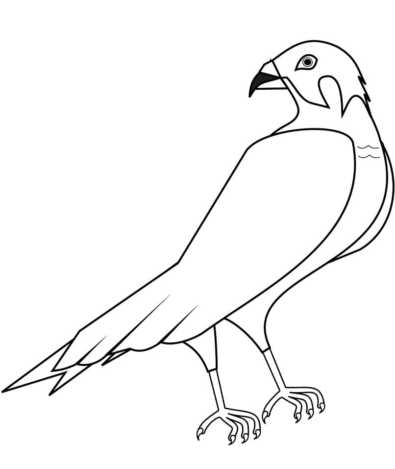 Black line drawing of a standing bird on white background