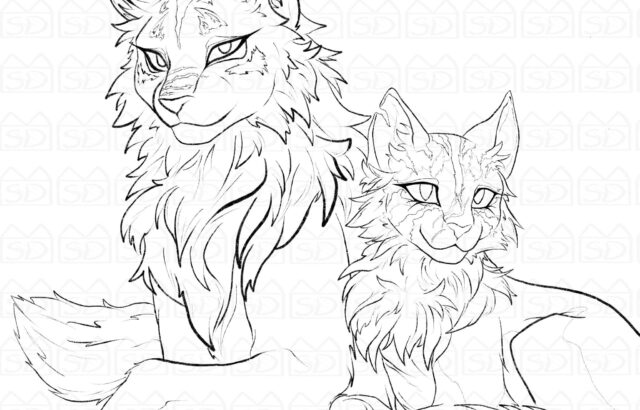 Two line-art cats lying together on white background