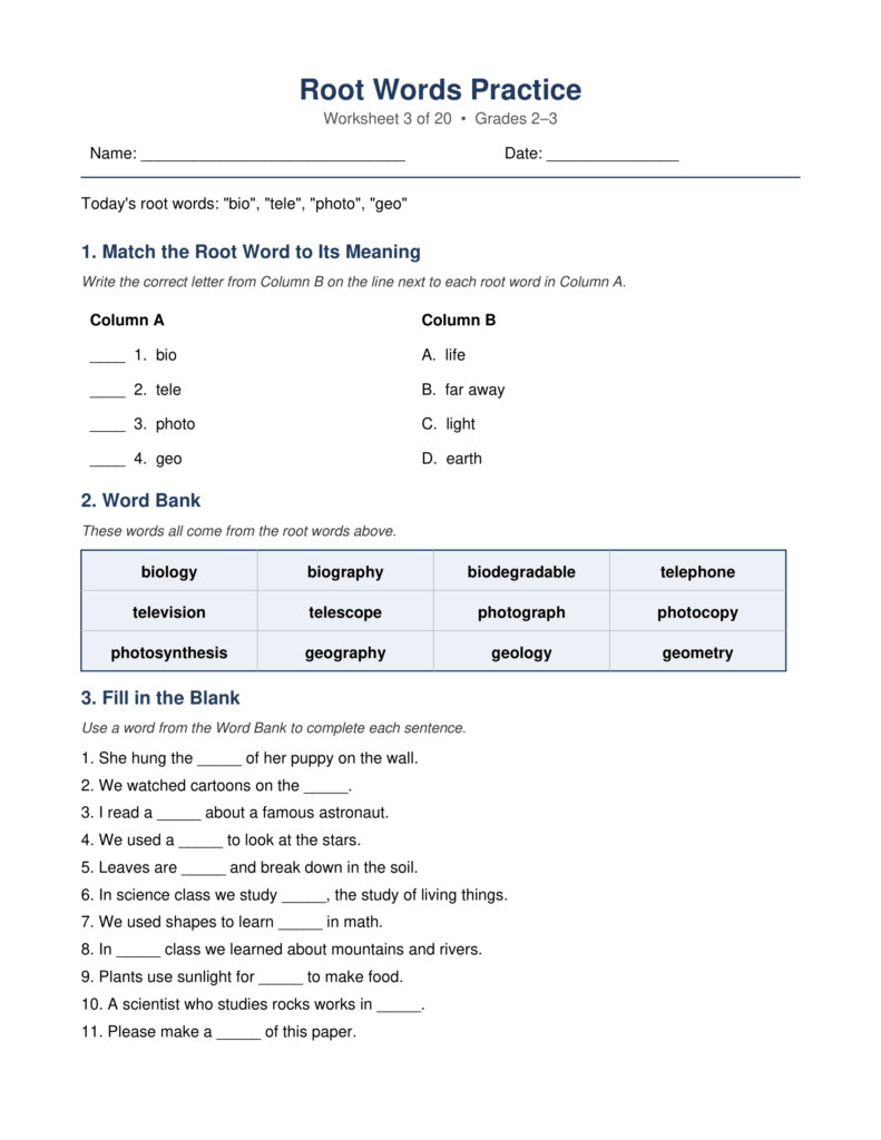 Root words practice worksheet with matching and fill-in blanks