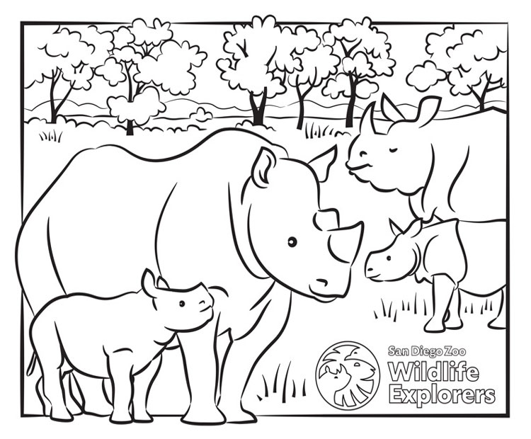 Black-and-white rhino family coloring page in grassy field