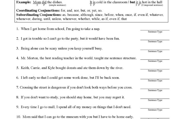Sentence types grammar worksheet with numbered exercises