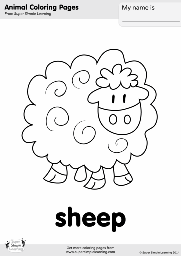 Sheep coloring page with title and name box