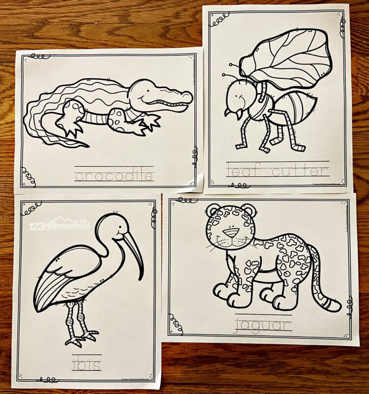 Four animal coloring pages on wood table