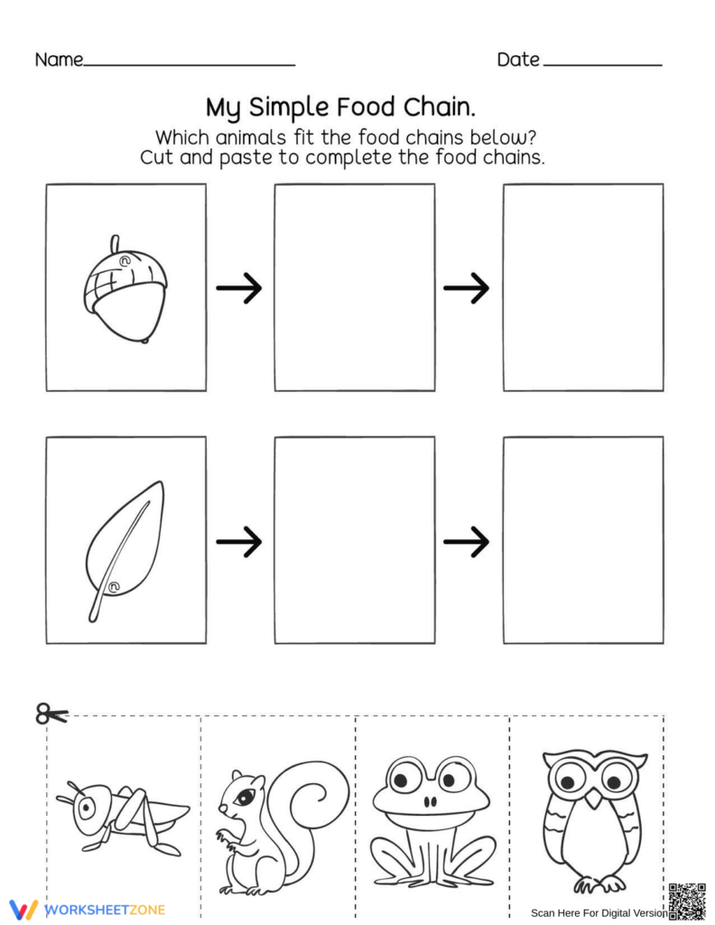 Simple food chain worksheet with acorn, leaf, and animal drawings