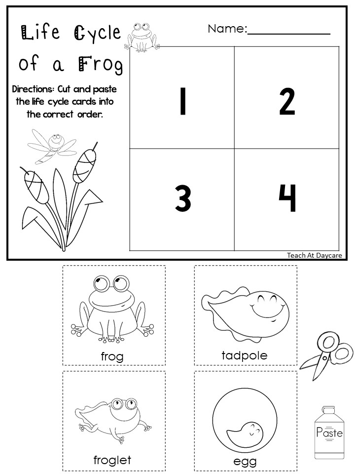 Frog life cycle worksheet with numbered boxes and cutout cards
