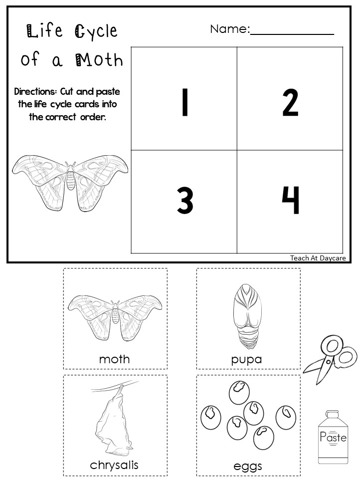 Moth life cycle worksheet with cut-and-paste cards and grid